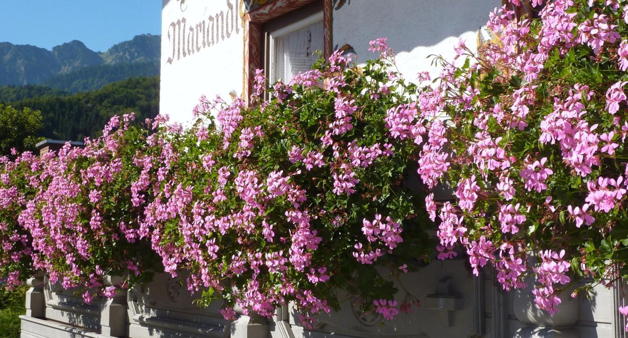 Hotel Mariandl Bergen  Exterior foto